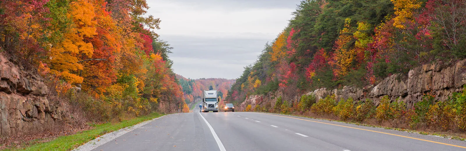 Truck on the road